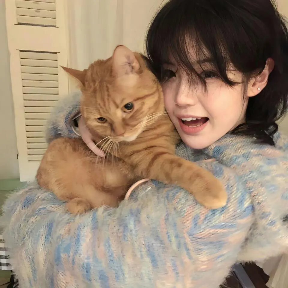 进击巨人大战无敌猛鲨